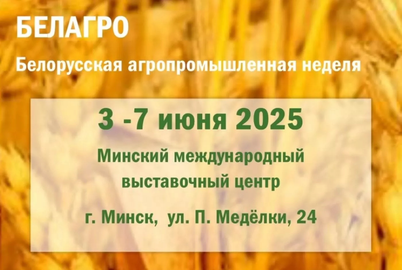 Выставка "БЕЛАГРО"